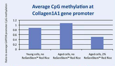 <i>Graph 2. Average CpG methylation at the COL1A1 gene promoter</i>