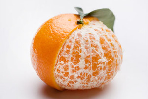 100% biological control for Orri Jaffa mandarin farmers