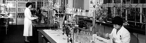100 years of botanical excellence