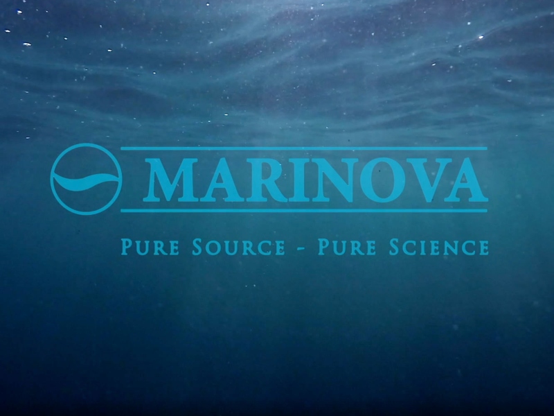 2023 marks Marinova's 20th anniversary