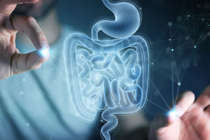 A balanced gut for a longer life: the diversity advantage
