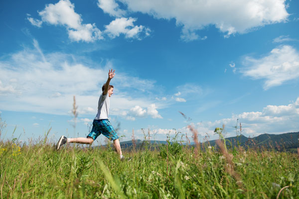 A clearer future for food supplements
