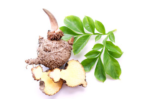 A novel moisturising ceramide extract for a healthy and reinforced skin barrier
