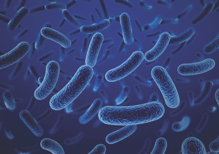 A unique second generation prebiotic
