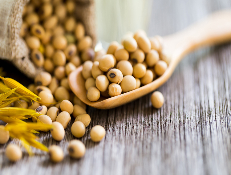 AAK acquires BIC International Holdings' lecithin business 