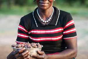 AAK extends sustainable shea programme 
