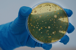 AB-Biotics to spotlight women’s health-supporting probiotic solutions at Vitafoods Europe