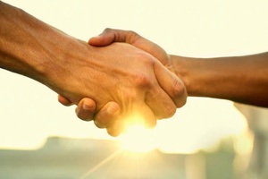 Abattis acquires Pro Natura BV