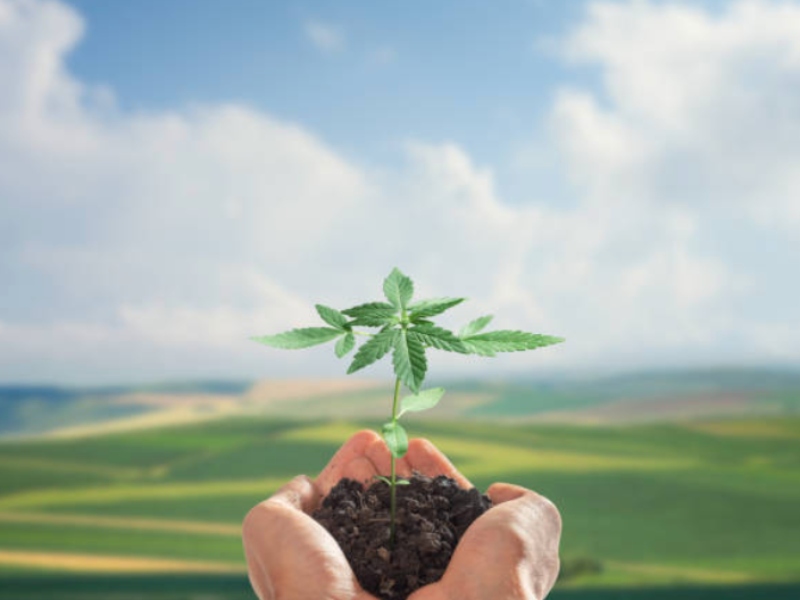 ACI novel food applications validated