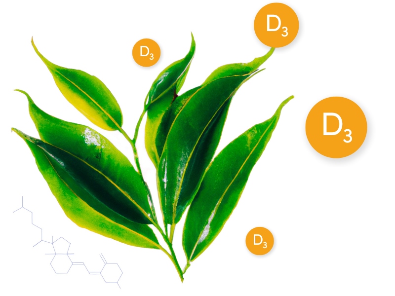 Activ'Inside introduces ImprovD3, a gateway to boosting Vitamin D3