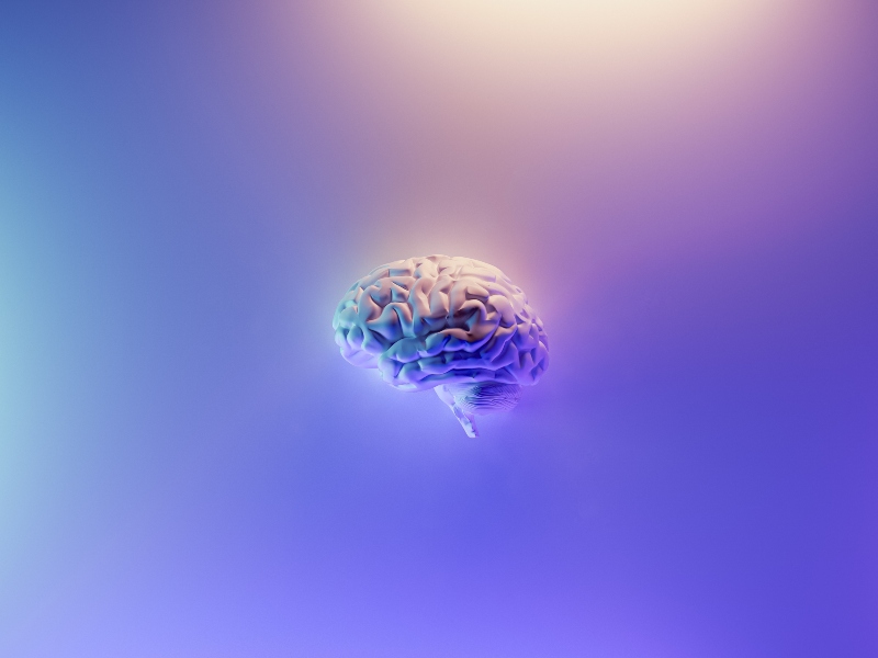 Activ’Inside reveals latest research from “Silver Brain Food” research project