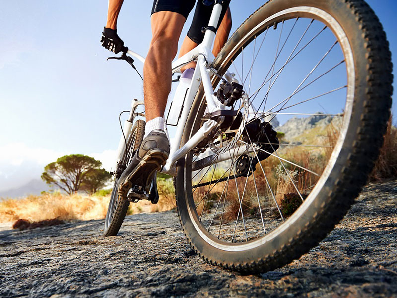 Activeberry gives performance a boost