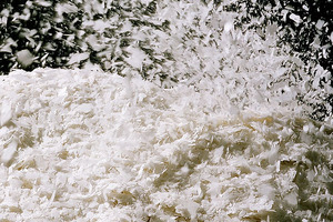 Adaptable starch flakes create smooth solutions for food manufacturers
