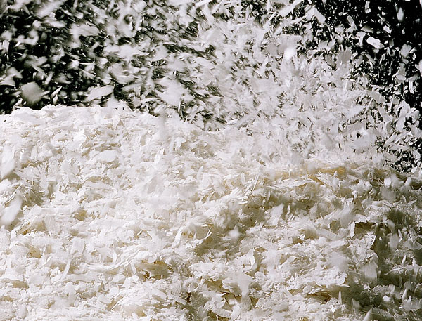 Adaptable starch flakes create smooth solutions for food manufacturers
