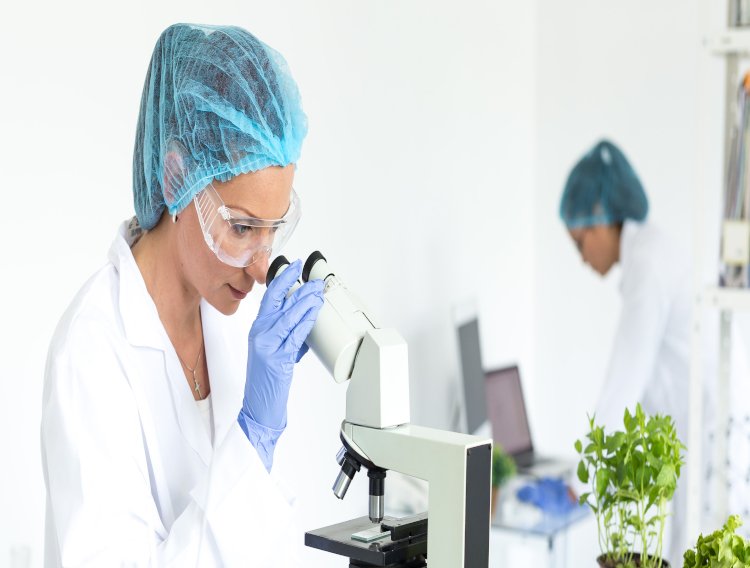 ADM adds textured pea and wheat proteins 