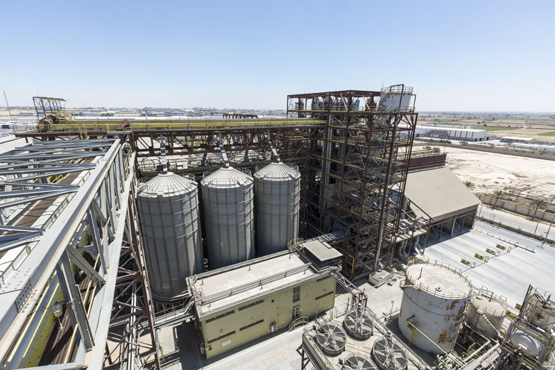 ADM and Cargill complete agreement for soybean joint venture in Egypt