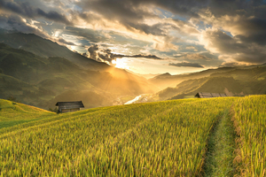 ADM exceeds 2m acre regenerative agriculture goal for 2023