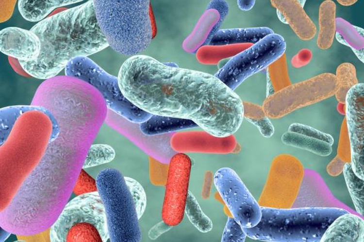 ADM new probiotic blend shows promise in coadjutant treatment of psoriasis