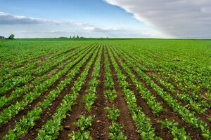 ADM surpasses 5 million regenerative agriculture acreage goal according to annual report