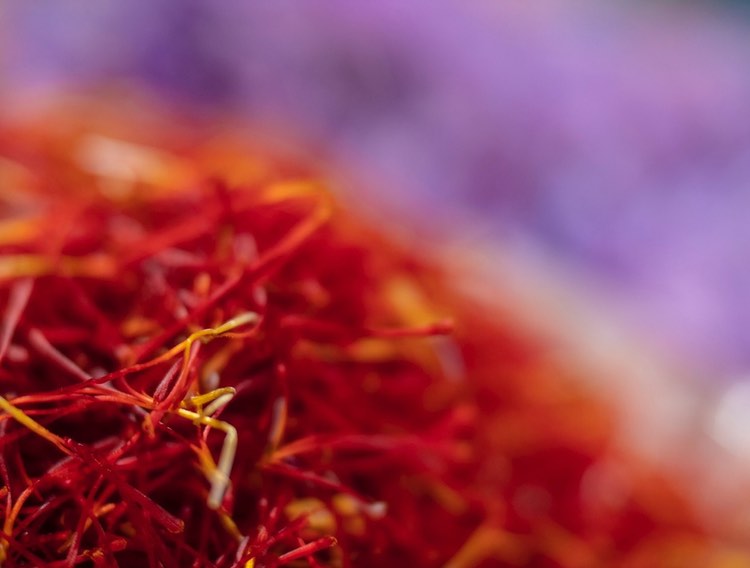AffronEYE saffron shows benefits for glaucoma risk factors