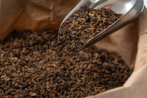 Agroloop commissions Bühler to provide proven insect rearing technology