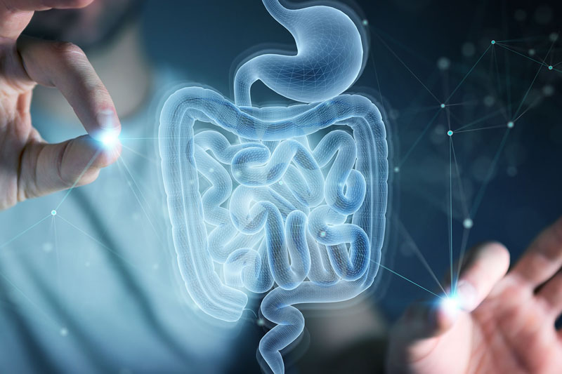 AIDP announces distribution agreement with Cargill for EpiCor postbiotic