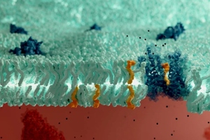 Aker BioMarine achieves NDI status for brain health ingredient