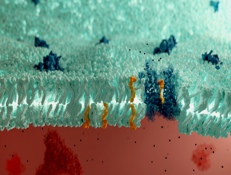 Aker BioMarine develops pilot LPC compound