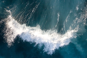 Aker BioMarine enters partnership with University of Glasgow
