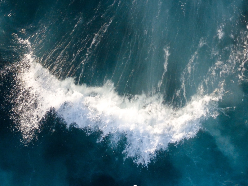 Aker BioMarine enters partnership with University of Glasgow