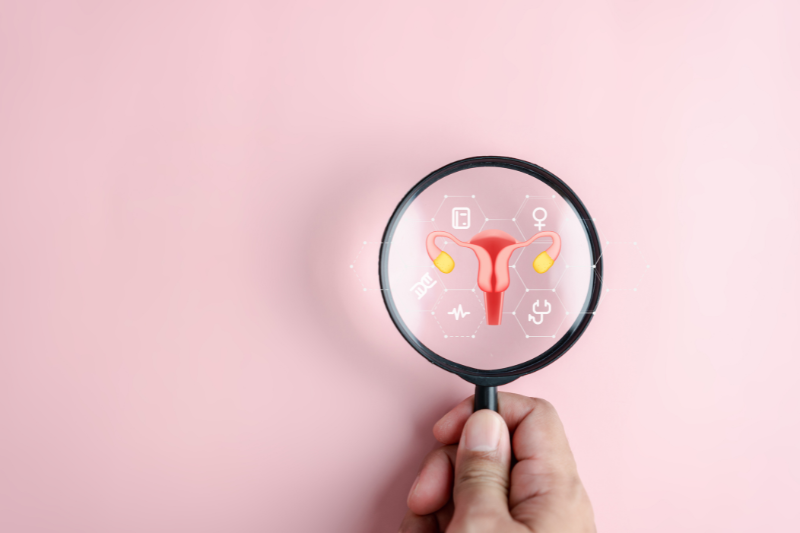 Akkermansia muciniphila PROBIO reverses PCOS symptoms in rat study