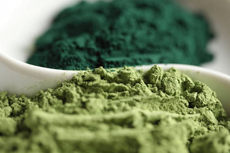 Alfa Chemistry launches microalgae powder services