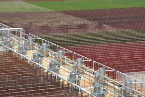 Algae Health Sciences plans two major microalgae production expansions