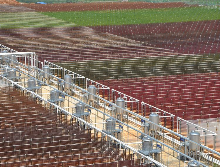 Algae Health Sciences plans two major microalgae production expansions