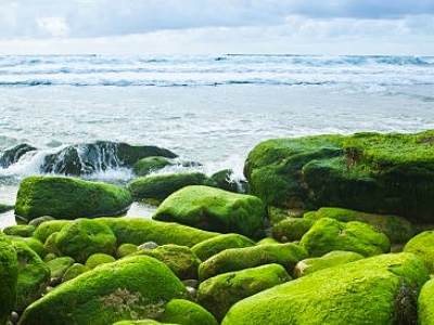 Algalif discusses quality, safety and sustainability in astaxanthin production at SupplySide East 2018