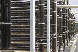 Algatech launches Fucovital, a fucoxanthin from microalgae 