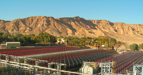 Algatechnologies introduces whole-algae AstaPure natural astaxanthin
