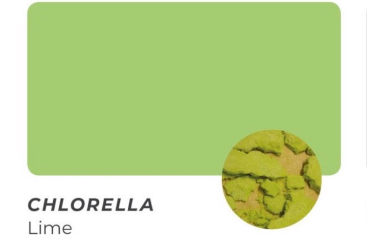Algenuity launches Chlorella Colours