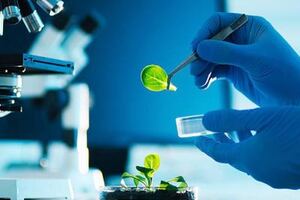 Alkemist Labs cuts chromatography and microscopy testing by a day
