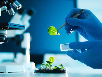 Alkemist Labs cuts chromatography and microscopy testing by a day