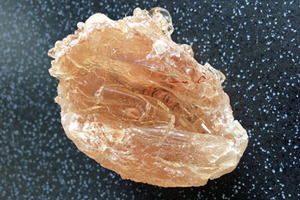 Alland & Robert and Sayaji to collaborate on acacia gum production in India