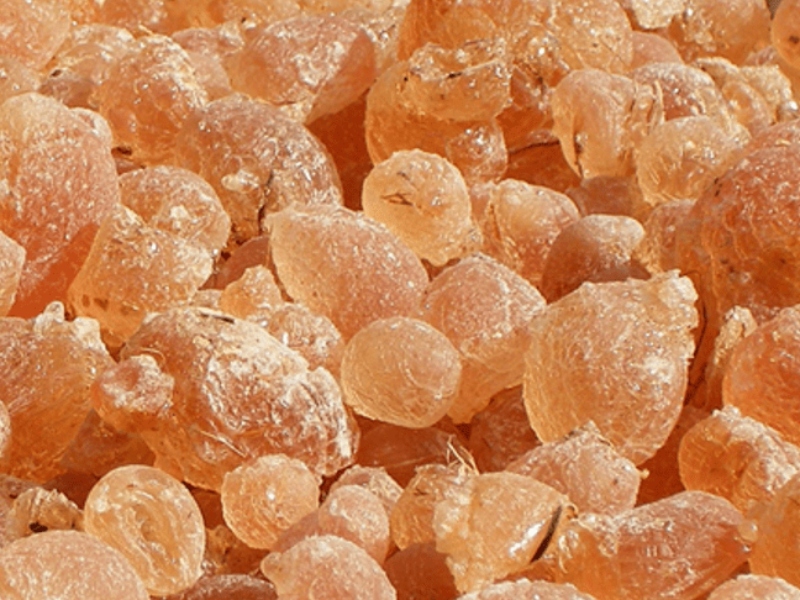 Alland & Robert obtains certification for acacia gum