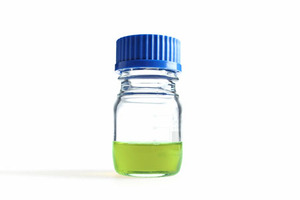 Allma reinvents Chlorella with ‘next generation’ liquid extract