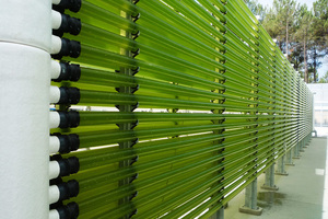 Allmicroalgae to significantly increase output of algae-based ingredients