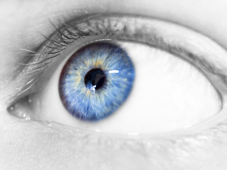 Alpha-carotene is positively correlated with maternal MPOD to provide retinal protection