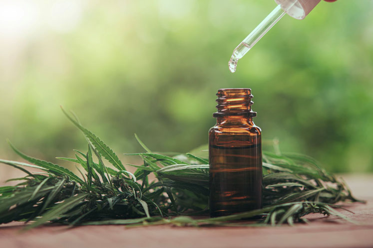 An assessment of current CBD safety standards