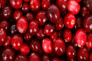 Analysis tools help Fruit d’Or Nutraceuticals remain FDA compliant