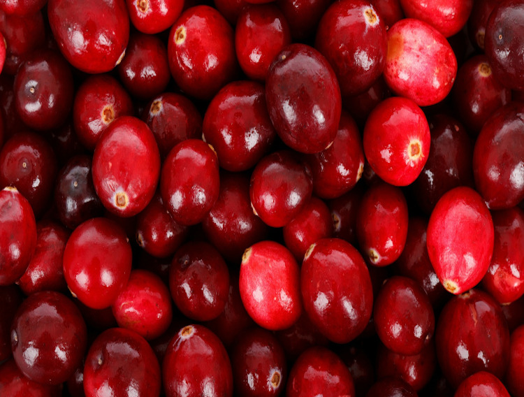 Analysis tools help Fruit d’Or Nutraceuticals remain FDA compliant