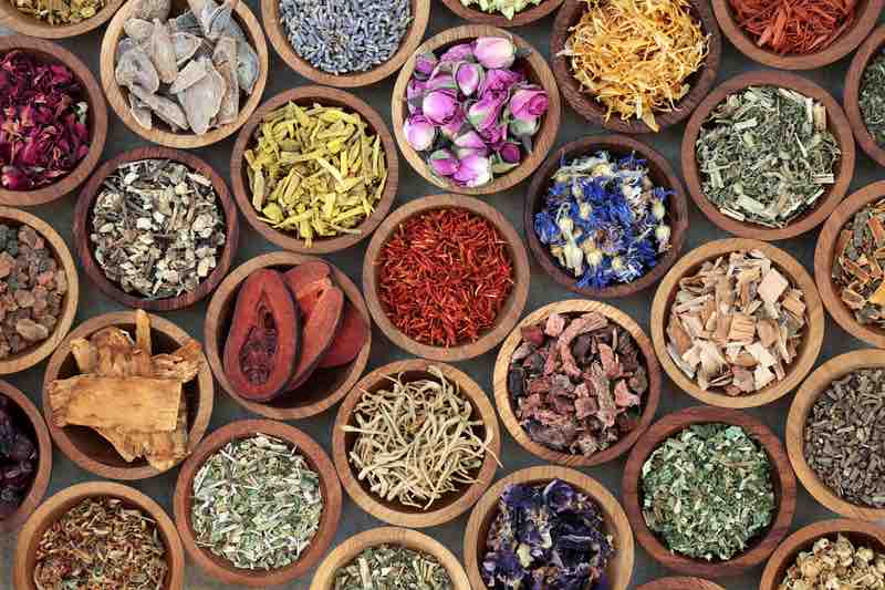 Ancient principles, fresh outlook: Greenspace takes a quantum approach to Ayurveda