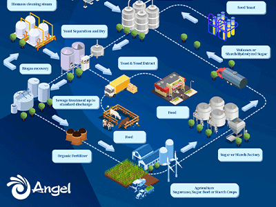 Angel Yeast increases energy procurement in green push to curb carbon emission 
